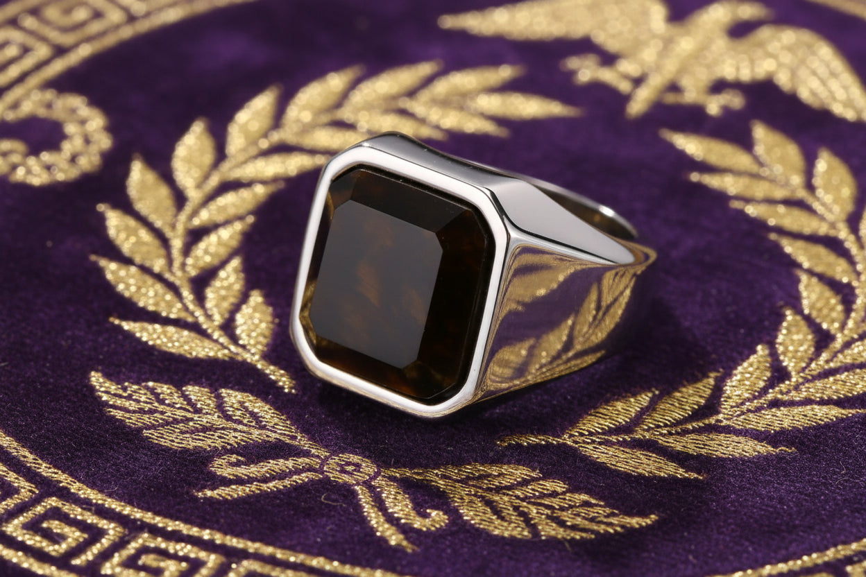 Chevalière "Aetites" en Acier Poli – Pierre d'Œil de Tigre & Héritage Antique